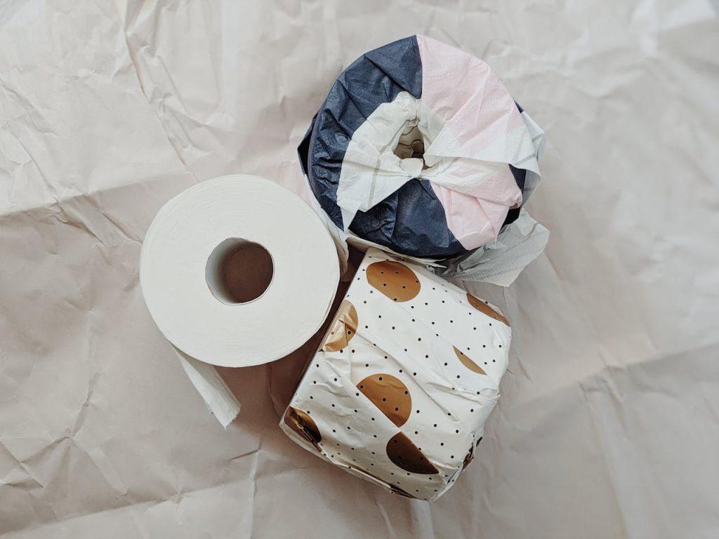 toilet-paper-rolls-in-packaging-3963082 Aesthetic arrangement of wrapped toilet paper rolls on a neutral background, showcasing minimalism.